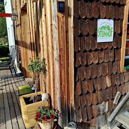 Villa Haus Steinhof Sankt Lorenzen ob Murau Exterior foto