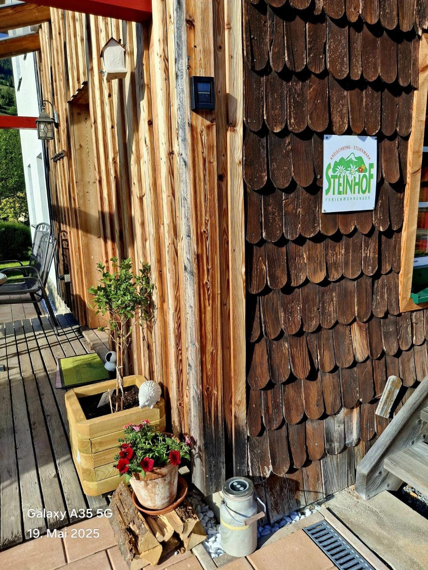 Villa Haus Steinhof Sankt Lorenzen ob Murau Exterior foto