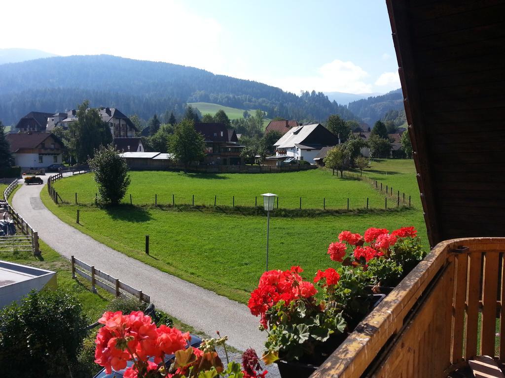 Villa Haus Steinhof Sankt Lorenzen ob Murau Exterior foto
