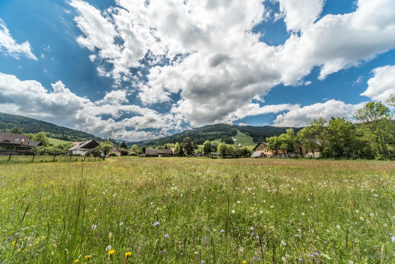 Villa Haus Steinhof Sankt Lorenzen ob Murau Exterior foto